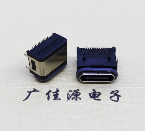 防水四脚卧式TYPE-C24P母座